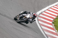 Advanced Group Silver_Grey Bikes